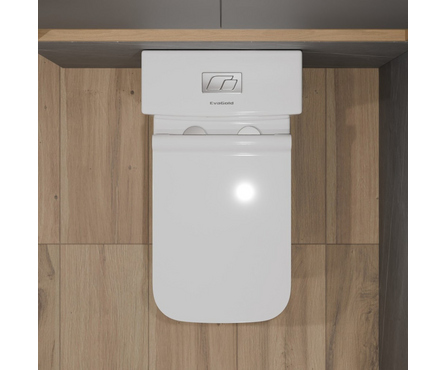 Унитаз-монолит Т1086 безободковый тонкое сиденье ДП (с гофрой и подводкой) EVA GOLD Фотография_4