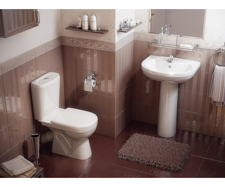 Унитаз-компакт Комфорт Люкс белый фарфор (кос.выпуск, нижн.подвод дюр. сид.м/лифт 2 кн.арм) ROSA Фотография_1