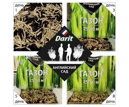 Семена Газон низкорослый Английский сад 0.9 кг Фотография_2