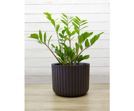 Кашпо для цветов коричневое ШАТО D 250 мм 8 л Фотография_4