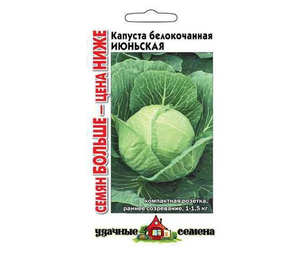 Семена Гавриш, капуста белокочанная «Июньская», 1.5 г  Фотография_0