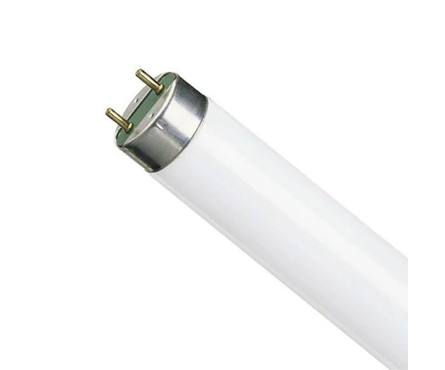 Лампа Osram L36/640 G13, ЛЛ белая, 36 Вт  Фотография_0