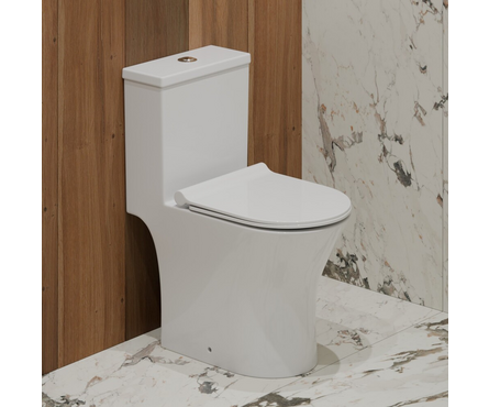 Унитаз-монолит ТR1197 безободковый тонкое сиденье ДП (с гофрой и подводкой) EVA GOLD Фотография_1