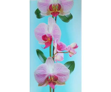 Панель ПВХ Эксклюзив Орхидея бирюзовая 442/1, 2700x250x10 мм Фотография_0