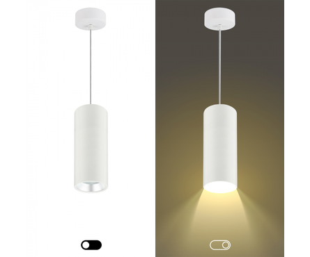 Светильник подвесной GX53 PL12 SL/WH; белый+серебро ЭРА Фотография_6