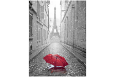 Фотообои Парижский дождь, 196х260 см 