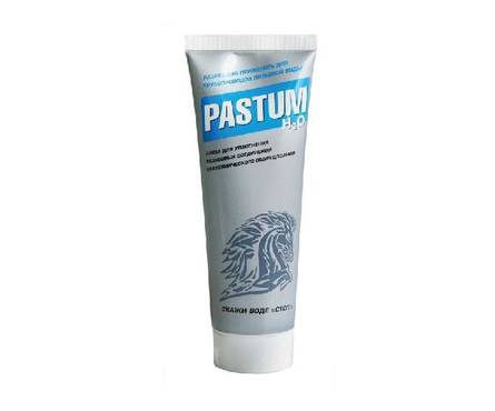 Уплотнительная паста 70г Pastum H2O вода