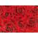Плитка керамическая Березакерамика Престиж Роза красный декор 250х350 Фотография_0