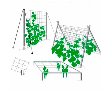 Сетка шпалерная, пластиковая, зеленая, 2х10 м Фотография_2