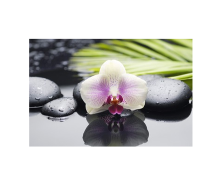 Панно 2 Belani Азалия Орхидея 250 х 350 мм, фисташковый Фотография_0