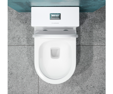 Унитаз-монолит 5005 безободковый, сиденье ДП (с гофрой и подводкой) EVA GOLD Фотография_4