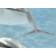 Панно Березакерамика Лазурь Дельфины 5, 250х350 мм Фотография_0