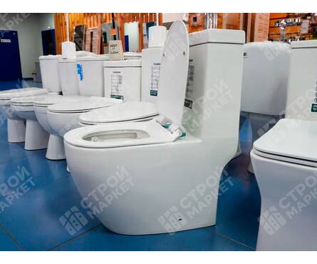 Унитаз-монолит 5005 безободковый, сиденье ДП (с гофрой и подводкой) EVA GOLD Фотография_7