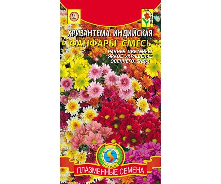 Семена Хризантема Индийская Фанфары 20 шт А (по 10 шт) цветной пакет (Плазменные семена)  Фотография_0