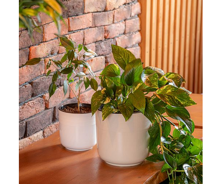 Кашпо для цветов бежевое с автополивом ЛИНЕЛЬ D 160 мм 2.7 л Фотография_3