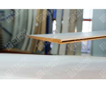 Панель МДФ Стандарт Сосна Астана 2700х200х6 мм STELLA Фотография_6