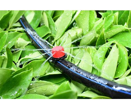 Капельница для полива регулируемая 0-70 л/ч некомпенсированная Фотография_3