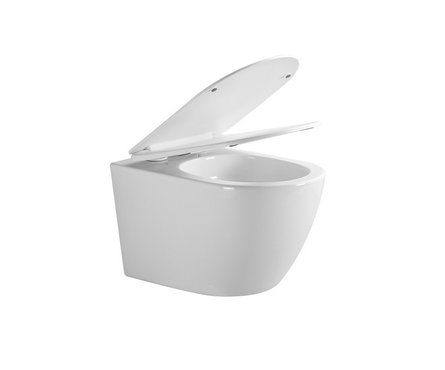 Унитаз подвесной безободковый EG103T тонкое сиденье ДП круговой смыв (с гофрой и подводкой) EVA GOLD Фотография_1