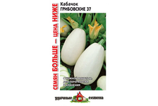 Семена Кабачок Грибовский средний 37 3 гр