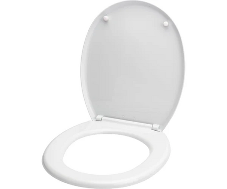 Сиденье для унитаза полипропилен белое АНИ ПЛАСТ WS0100 Фотография_0