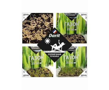 Семена Газон низкорослый Солнечная лужайка 0.9 кг Фотография_2