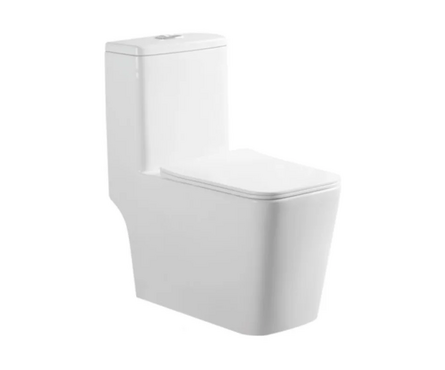 Унитаз-монолит SM9616 безободковый тонкое сиденье ДП (с гофрой и подводкой) EVA GOLD Фотография_0