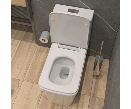 Унитаз-монолит SM9616 безободковый тонкое сиденье ДП (с гофрой и подводкой) EVA GOLD Фотография_2