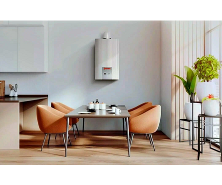 Котел газовый настенный 24 кВт F двухконтурный с закрытой камерой сгорания EuroElite THERMEX Фотография_1