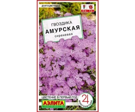 Семена Гвоздика Амурская многолетник 0.05 гр Фотография_0