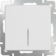 Выключатель В Рамку Одноклавишный С Подсветкой Белый Проходной IP20 10А 250В Универс Werkel Фотография_0
