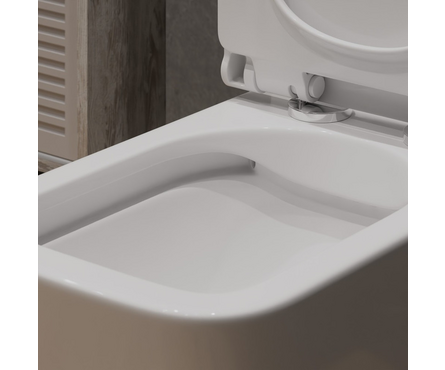 Унитаз-монолит Т1086 безободковый тонкое сиденье ДП (с гофрой и подводкой) EVA GOLD Фотография_3