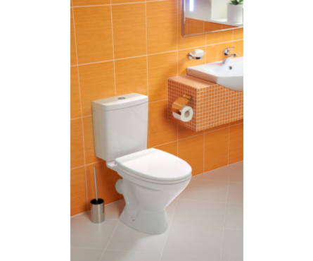 Унитаз-компакт Лига 2РА (кос.вып. нижн. подв) 2 кн.арм .полипропилен сидение САНТЕК Фотография_1