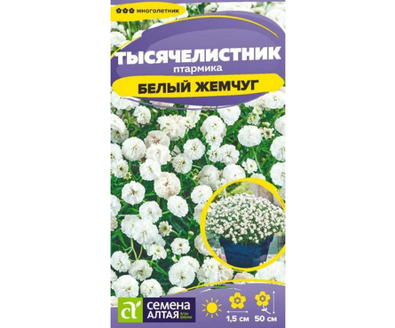 Семена Тысячелистник многолетник Белый жемчуг 0.05 гр Фотография_0