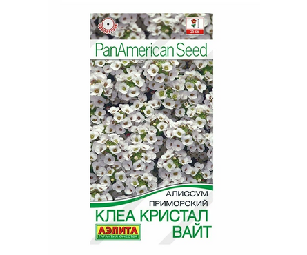 Семена Алиссум кристал вайт однолетник 4 шт Фотография_0