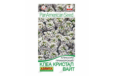 Семена Алиссум кристал вайт однолетник 4 шт