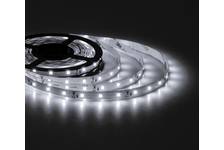 Лента LED верх. свеч. IP33 12В 4,8Вт/м SMD2835 Бел/хол 6500К 60Led/м LBT