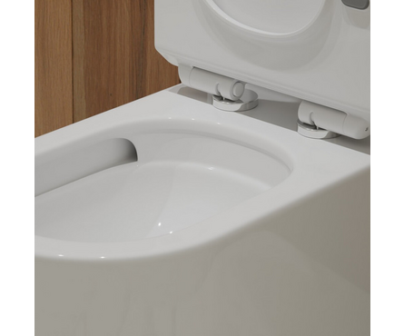 Унитаз-монолит Т1088 безободковый тонкое сиденье ДП (с гофрой и подводкой) EVA GOLD Фотография_4