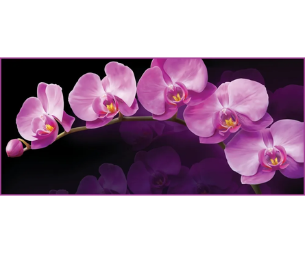 Фотообои VOSTORG Зеркальная орхидея, 294х134 см Фотография_0