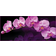 Фотообои VOSTORG Зеркальная орхидея, 294х134 см Фотография_0