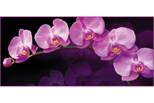 Фотообои VOSTORG Зеркальная орхидея, 294х134 см