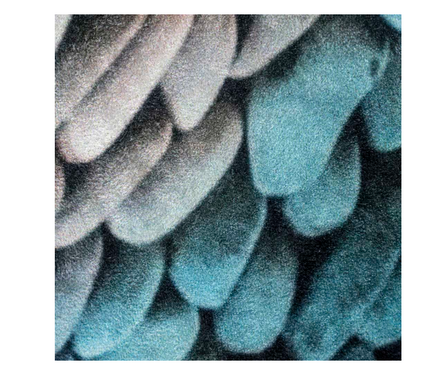 Коврик для ванной 55x90 см Emerald E 103 дизайнерский голубой САНАКС Фотография_2