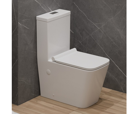 Унитаз-монолит Т1086 безободковый тонкое сиденье ДП (с гофрой и подводкой) EVA GOLD Фотография_1