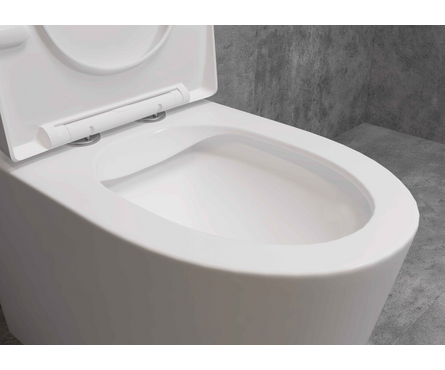 Унитаз-монолит 5003 безободковый тонкое сиденье ДП (с гофрой и подводкой) EVA GOLD Фотография_8