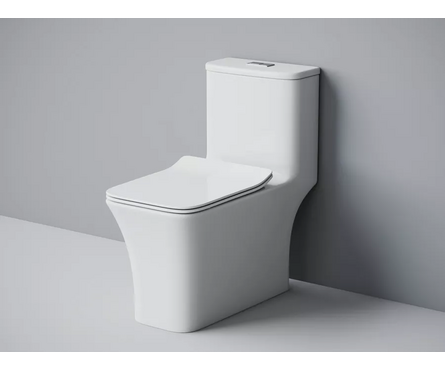 Унитаз-монолит SM9615 безободковый тонкое сиденье ДП (с гофрой и подводкой) EVA GOLD Фотография_1