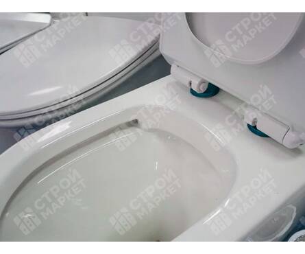 Унитаз-монолит 5005 безободковый, сиденье ДП (с гофрой и подводкой) EVA GOLD Фотография_9