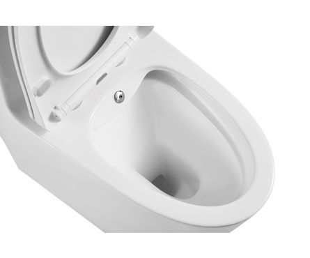 Унитаз-монолит 5003В с биде безободковый тонкое сиденье ДП (с гофрой и подводкой) EVA GOLD Фотография_2