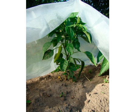 Укрывной материал Агротекс №60 Спанбонд 3.2х10 м, белый Фотография_2