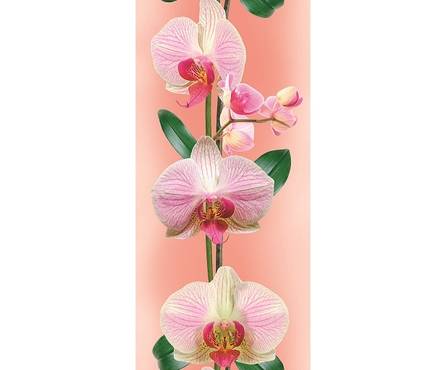 Панель ПВХ Эксклюзив Орхидея персиковая 441, 2700x250x10 мм Фотография_0