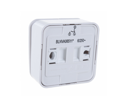 Выключатель Schneider Electric BLANCA накладной, с подсветкой, 2 клавиши, белый, 6 А, 250 В Фотография_1
