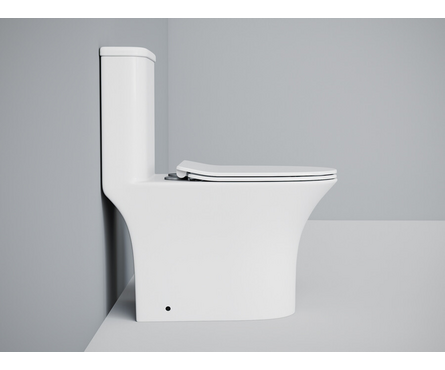 Унитаз-монолит SM9614 безоботковый тонкое сиденье ДП (с гофрой и подводкой) EVA GOLD Фотография_4